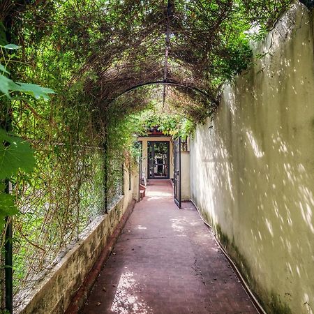 Santa Reparata Apartment With Patio And Terrace Florencia Exterior foto
